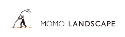 MOMO LANDSCAPE